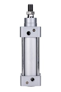 DSBG Pneumatic cylinder