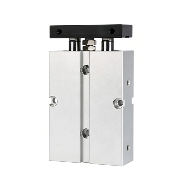 TN series double rod cylinder 1