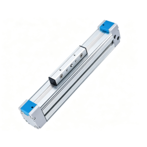 DGP Rodless Cylinder