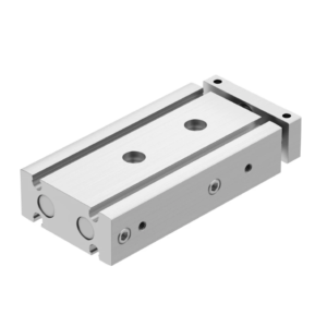 DGTZ Twin rod cylinder