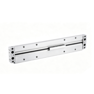 DLGF Rodless Cylinder